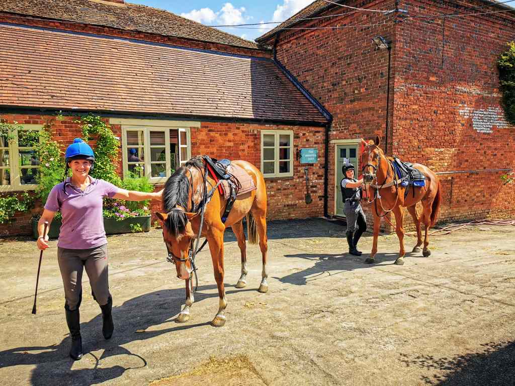 Cropredy Lawn is now also home to Dawn Ball and DAB Racing (point-to-pointers, pre-trainers and bloodstock), looks like we might ‘Go Pointing‘ again next season after all!