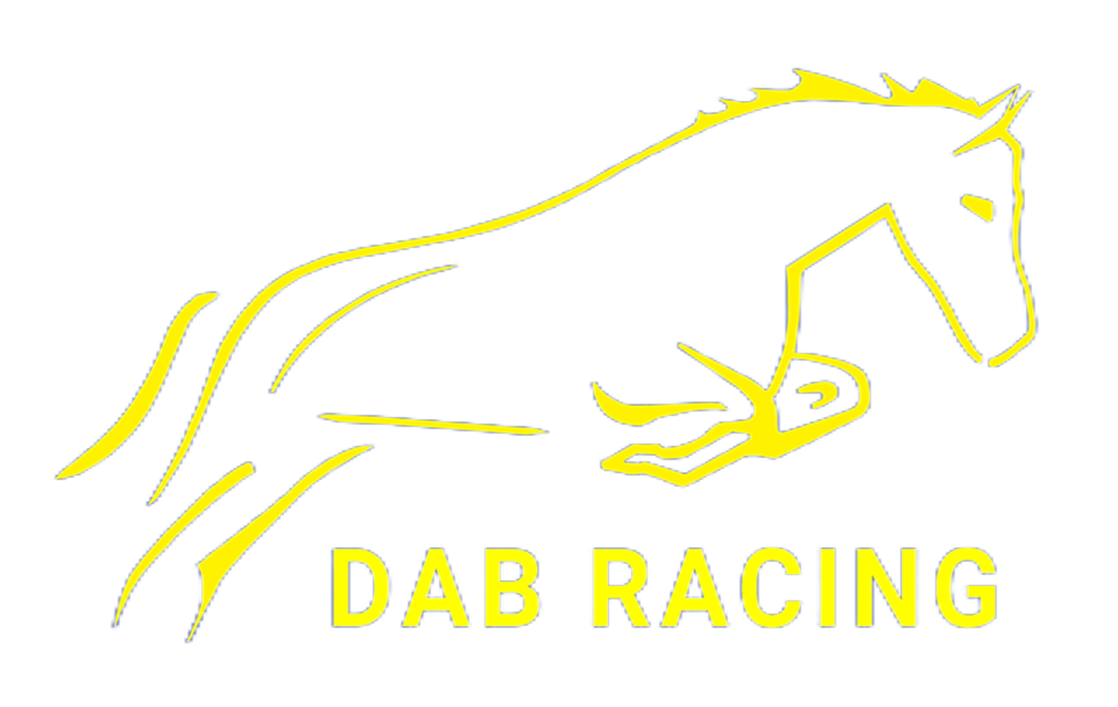 DAB Racing - Point to Point Trainer in Oxfordshire