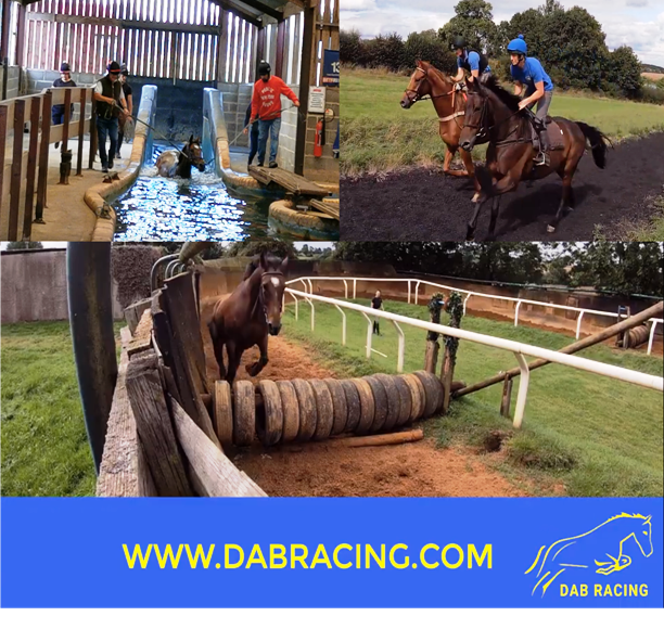 DAB Racing, training out from the Paul Webber Racing yard in Cropredy, Oxfordshire